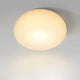 Apple_Grain_Ceiling_Lamp_8