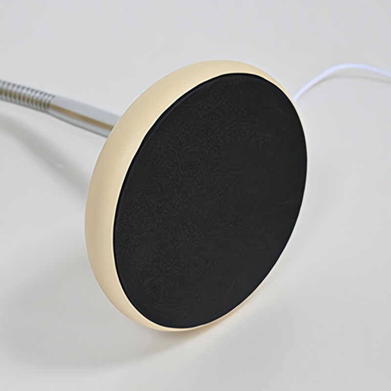 Butter_Wind_Conch_Table_Lamp_08