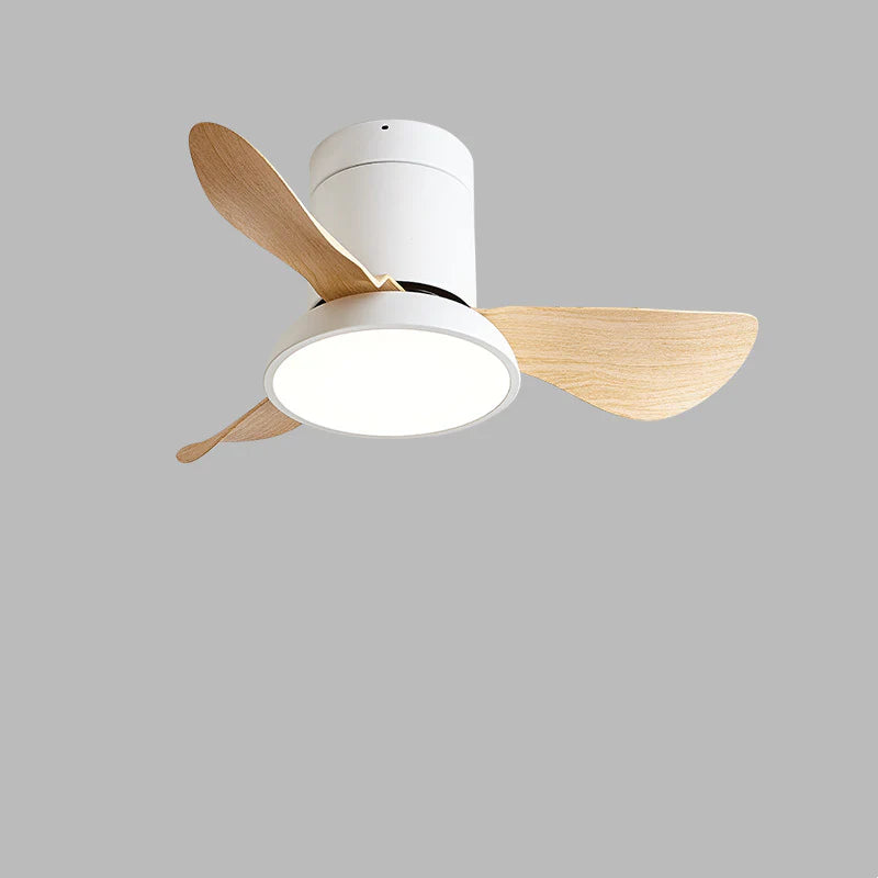 Kominmin_Ceiling_Fan_Light_3