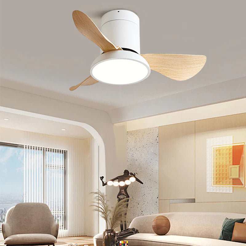 Kominmin_Ceiling_Fan_Light_5