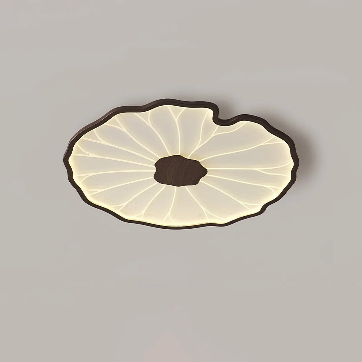 Lotus_Leaf_Creative_Ceiling_Lamp_05