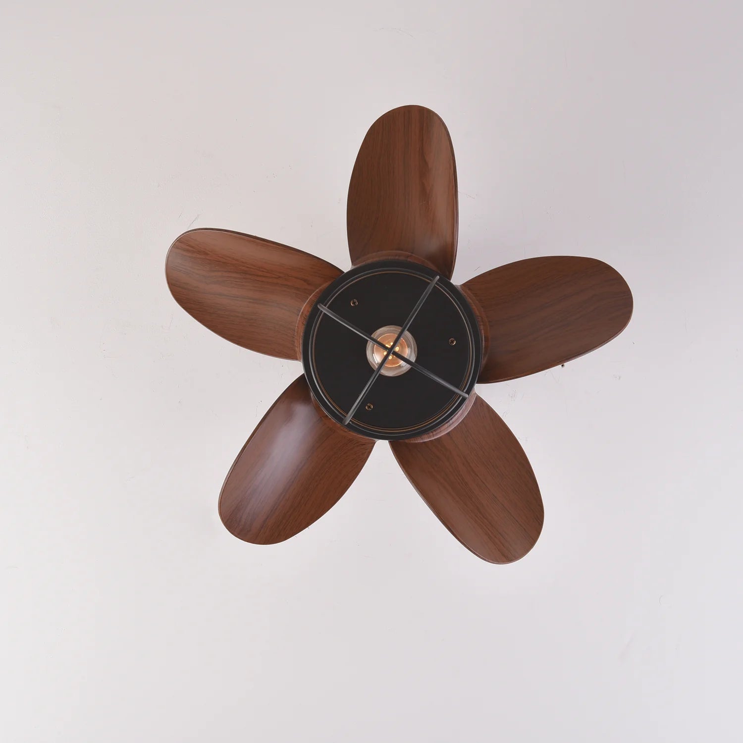 Notox_Ceiling_Fan_Lamp_05