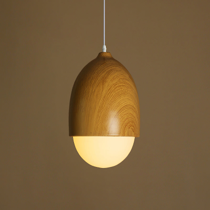Nut Art Pendant Lamp