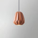 Papaya_Resin_Pendant_Lamp_1