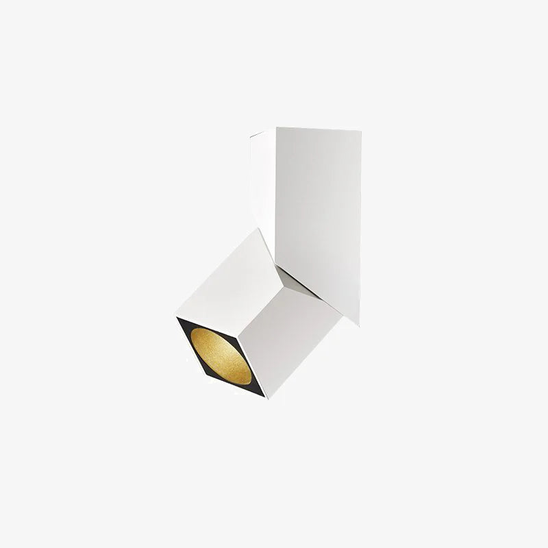 Rectangular_Revolving_Down_light_7