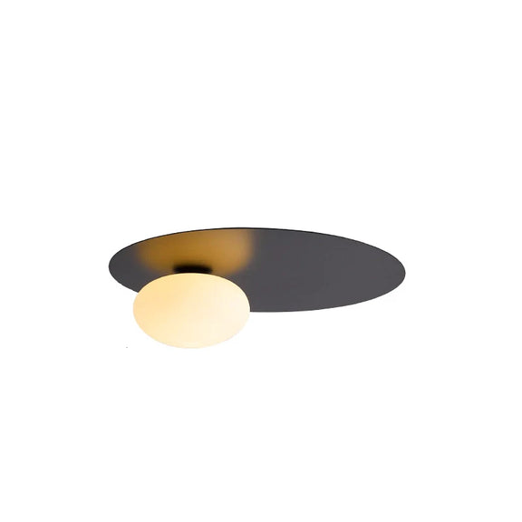 Simple_Oval_Ceiling_Light_8