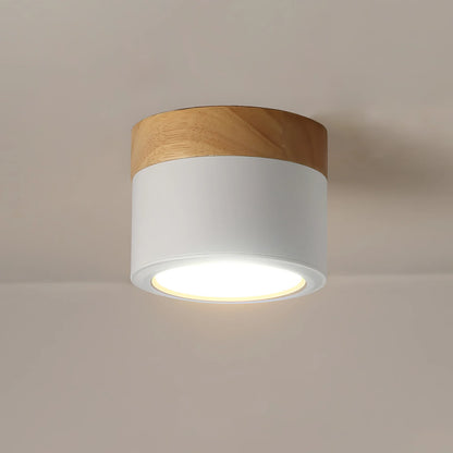 Spot_Ceiling_Lamp_01