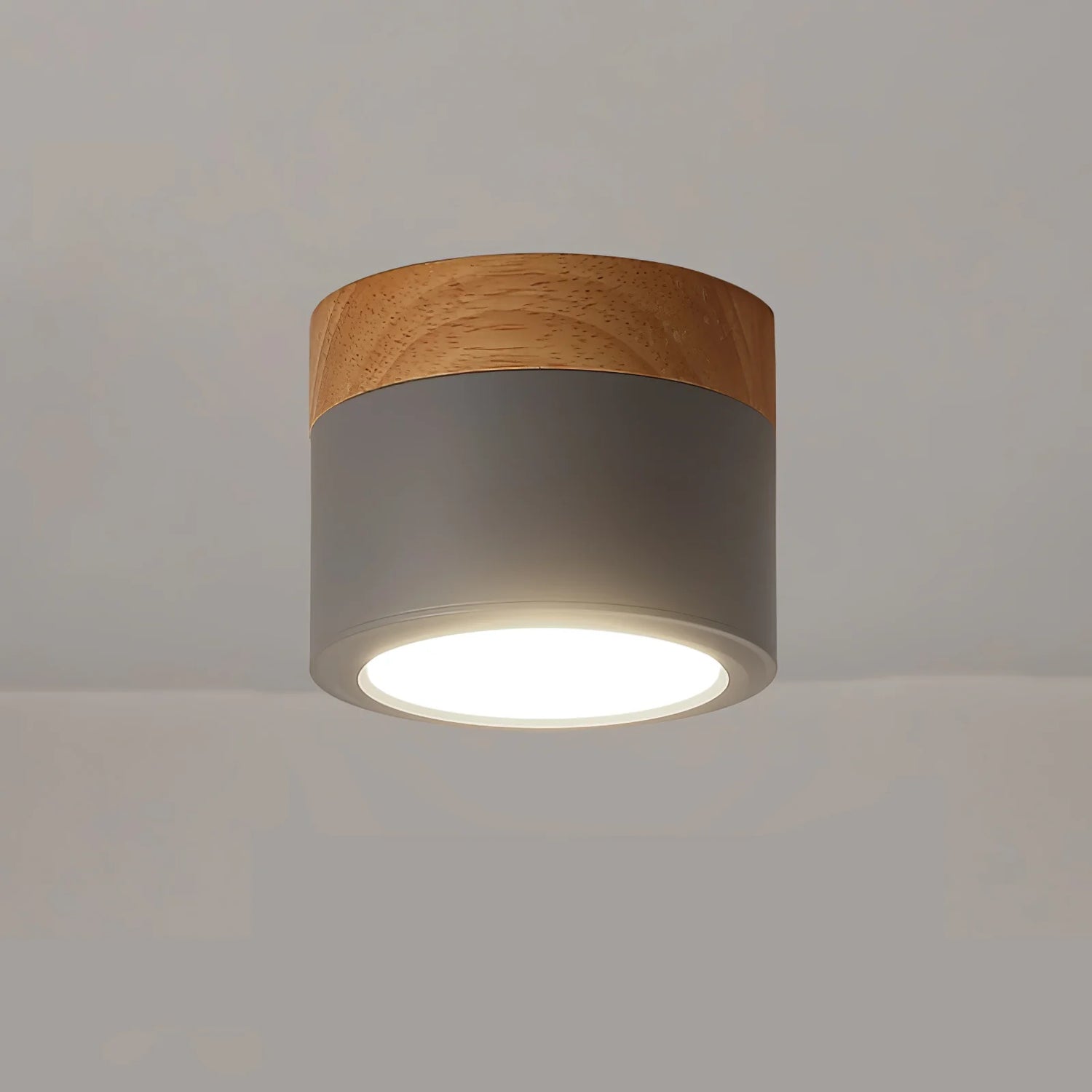 Spot_Ceiling_Lamp_03