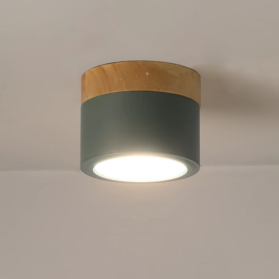 Spot_Ceiling_Lamp_04