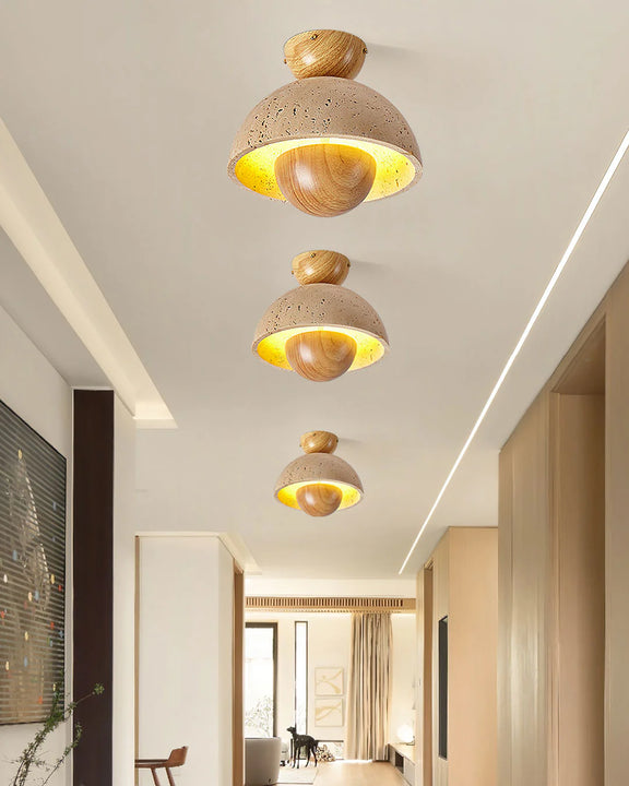 Verdint_Ceiling_Lamp_4